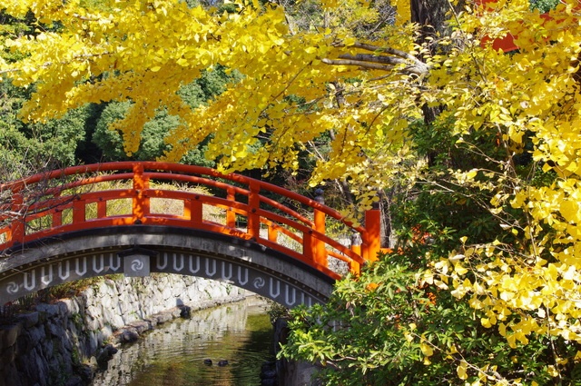 獲得好人緣與美貌的能量景點｜下鴨神社