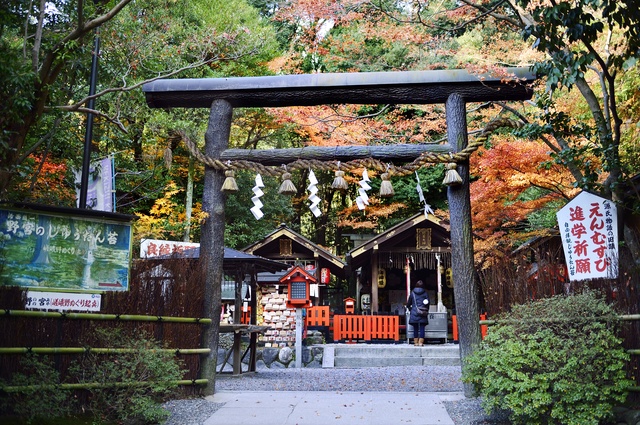 締結良緣的神秘許願龜石｜野宮神社