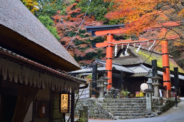 來自海拔900公尺高的靈氣｜愛宕神社