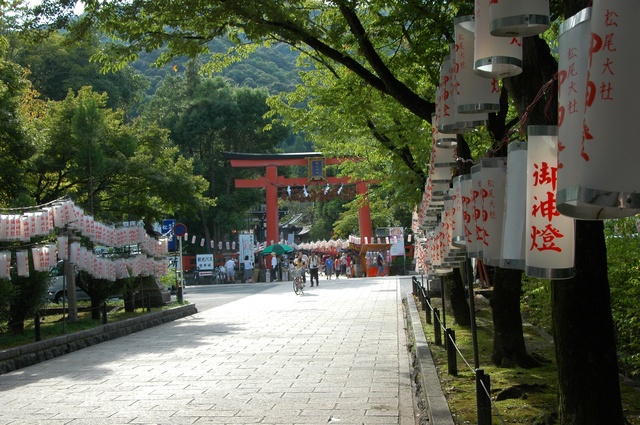 到嵐山感受製酒氛圍順便祈福｜松尾大社