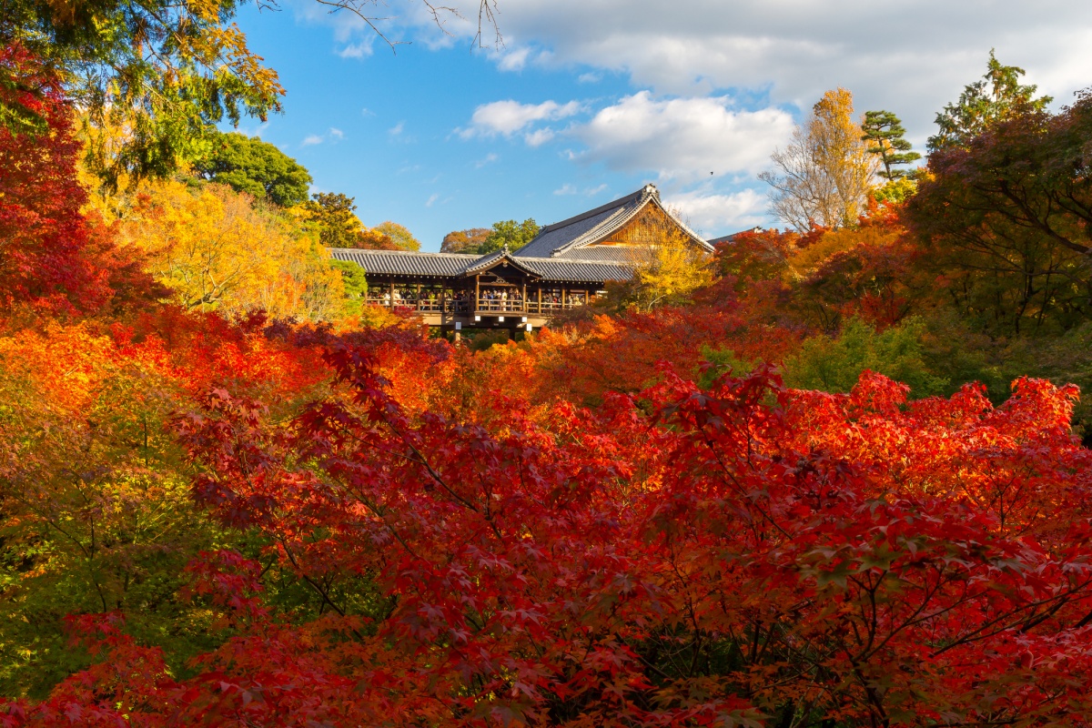 4. วัดโทฟุคุจิ (Tofukuji: 東福寺)