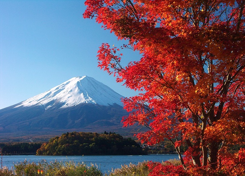 這些日本秋季絕景你都制霸了嗎？