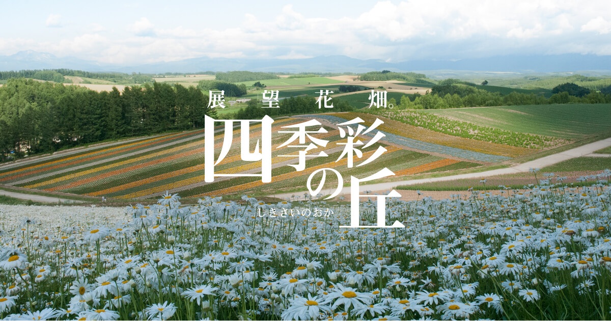 สนุกกับกิจกรรมมากมายและดอกไม้สวยๆ ที่ฟาร์มชิกิไซ โนะ โอกะ (四季彩の丘) เมืองบิเอ