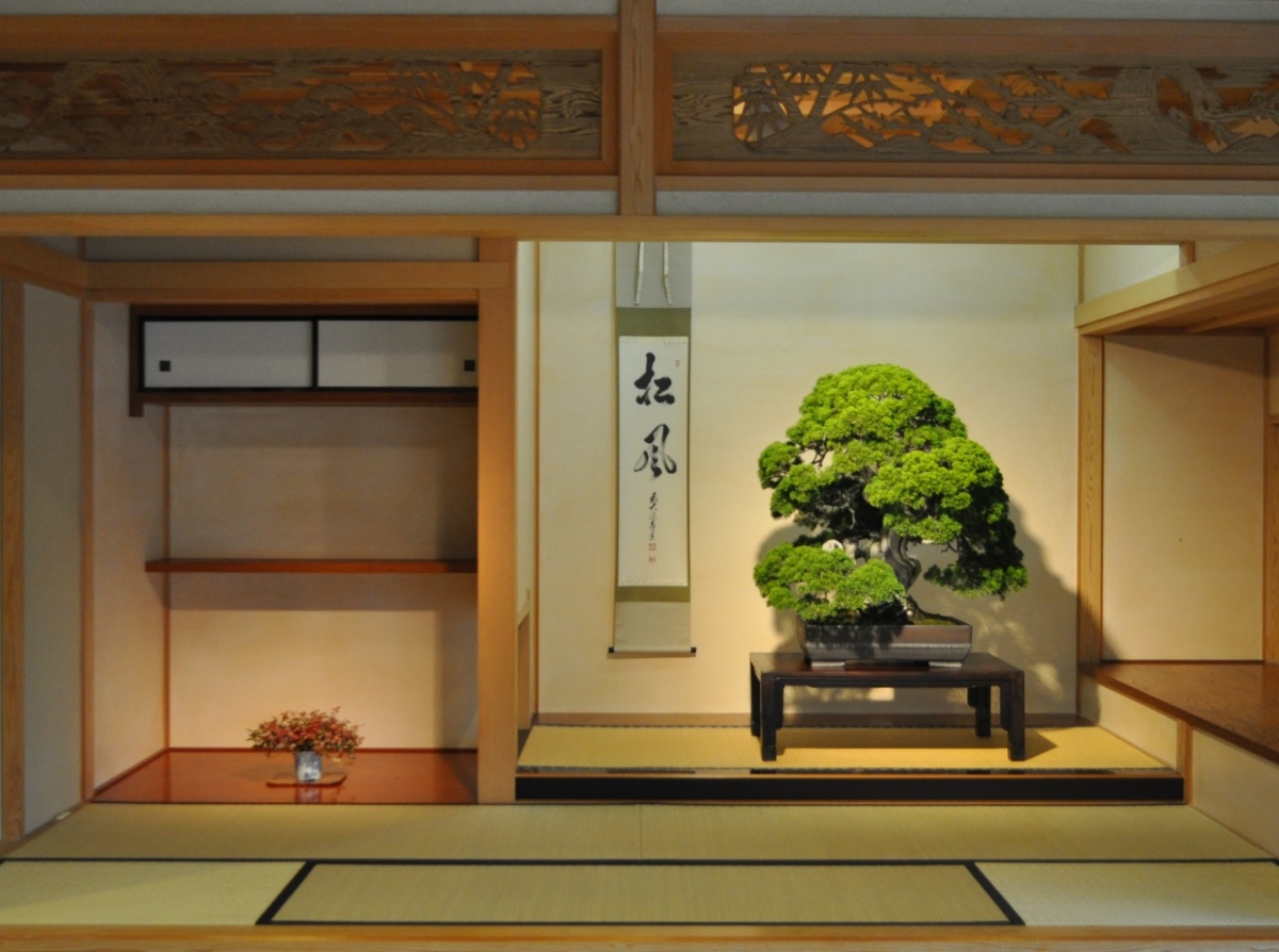 ที่เที่ยวเกี่ยวกับบอนไซในญี่ปุ่น - Omiya Bonsai Museum