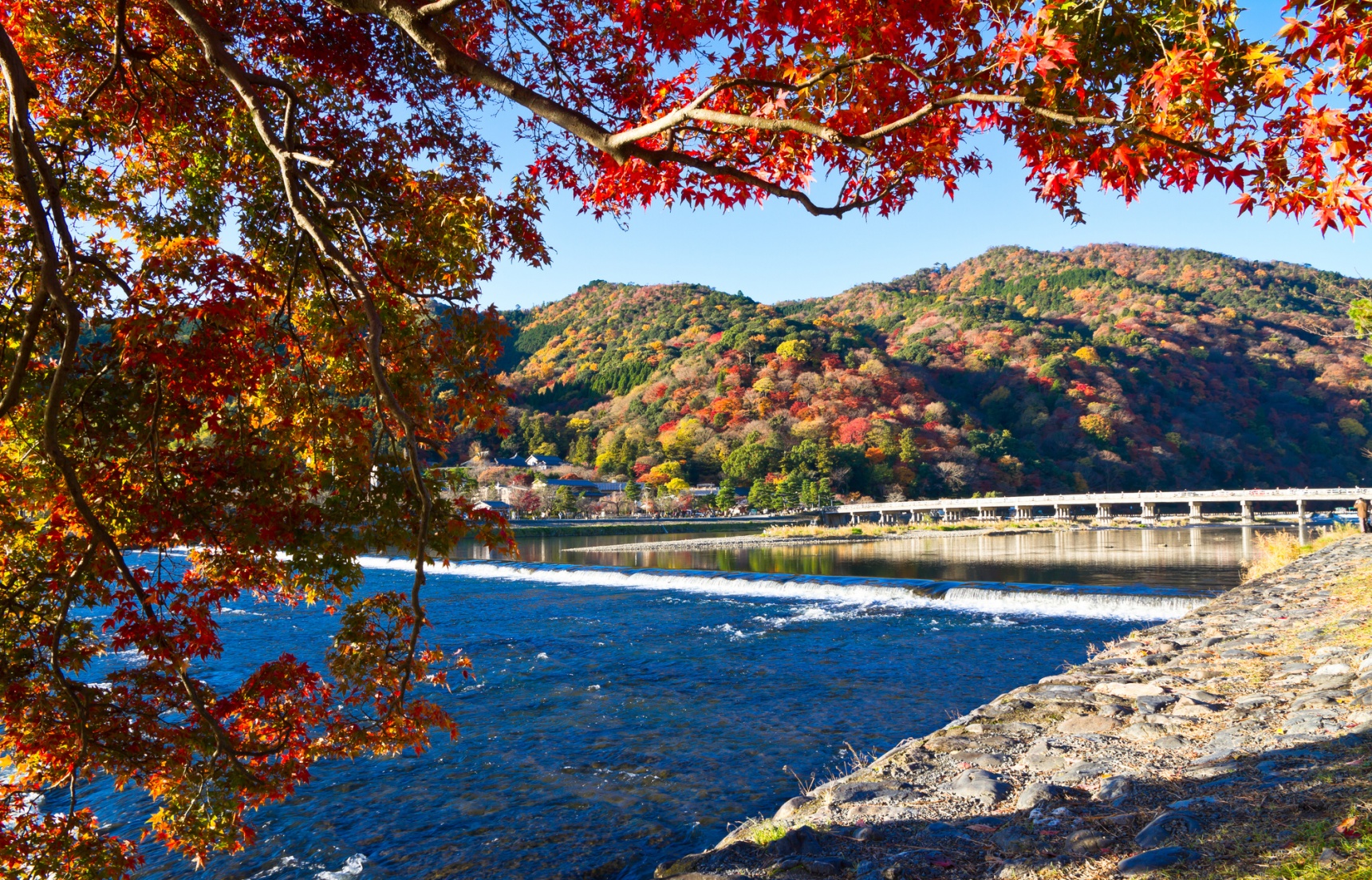 Top 5 Regions to See Red Leaves in Japan