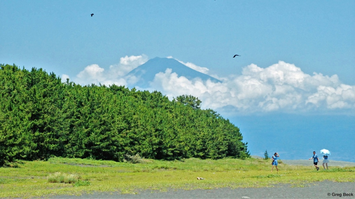 Shizuoka: The Land of Fuji, Green Tea & Family-Friendly Fun