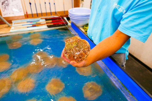 7. Fishing for Scallops at a Restaurant