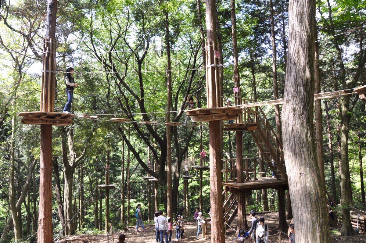 Forest Adventure Hakone