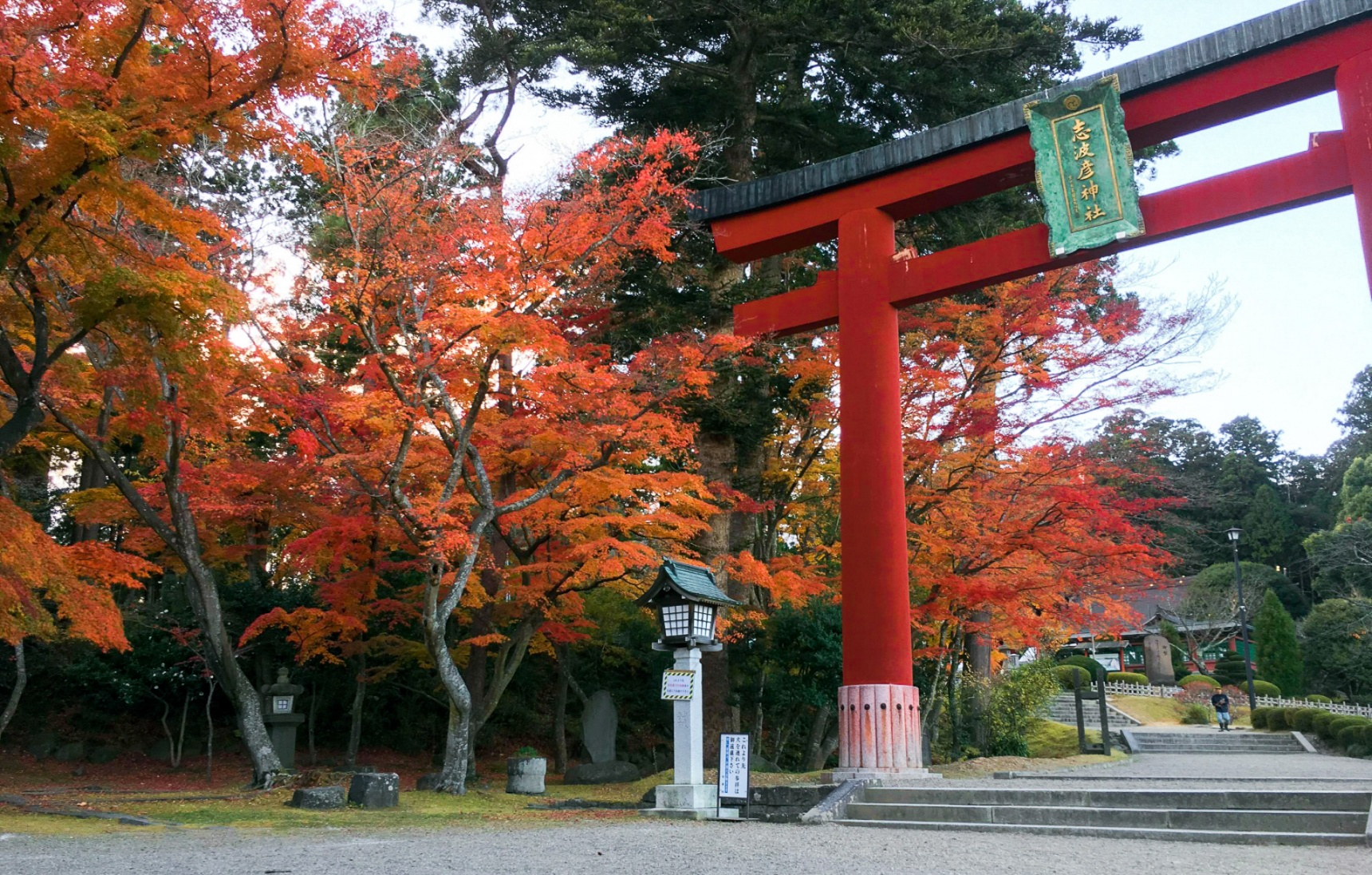 Tohoku in Fall: The Ultimate Koyo Experience
