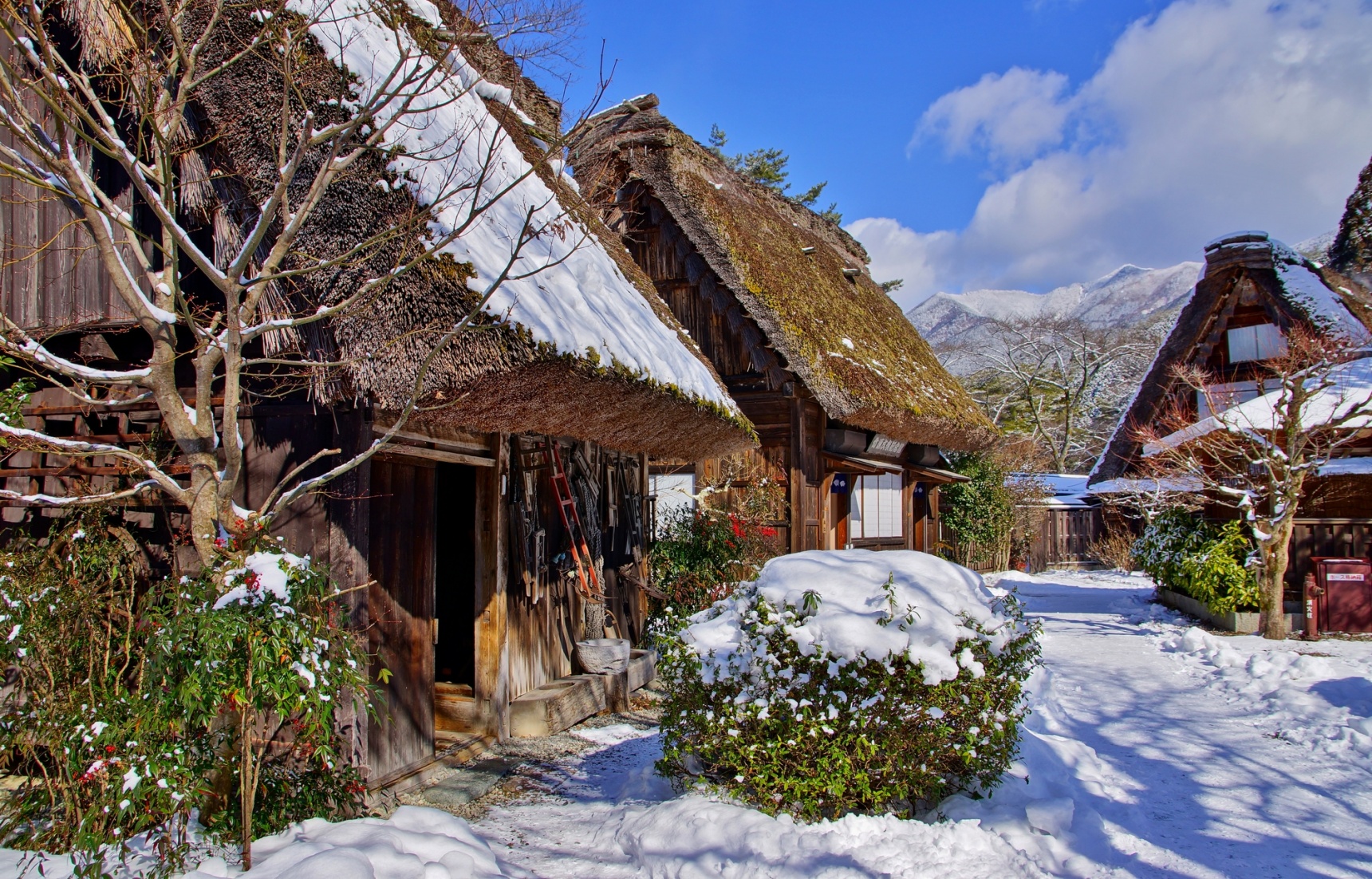 名古屋周边的5大以「冬雪」为主题的体验活动