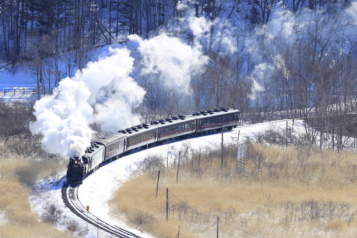 ■ 现在预订还来得及！搭乘冬日绝景列车出发吧！