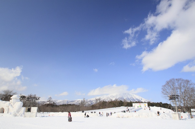 3. 岩手雪节（岩手）— 每年2月初