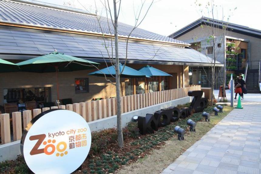 18. A fun time at Kyoto City Zoo!