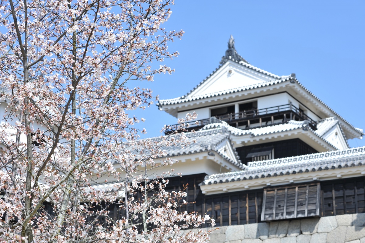 Home to Matsuyama Castle, One of Japan's 'Original Castles'