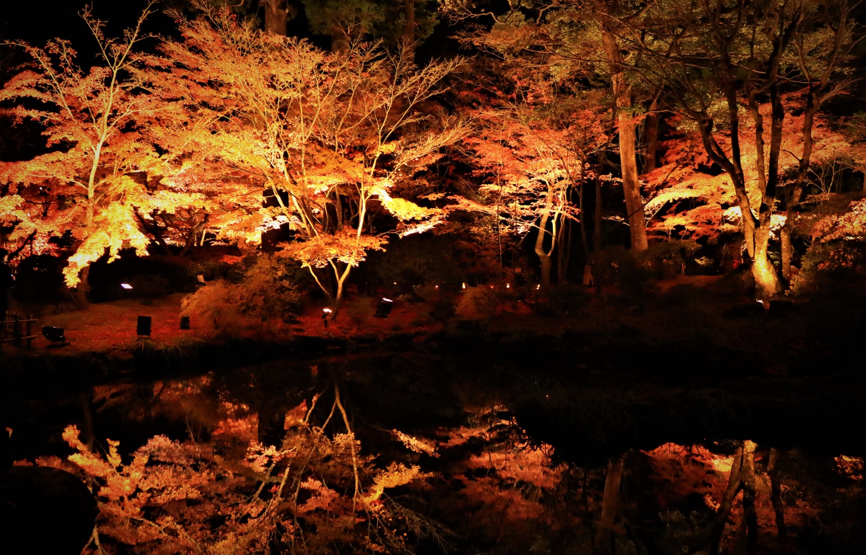 Beauty Beyond Be-‘leaf’ in Matsushima