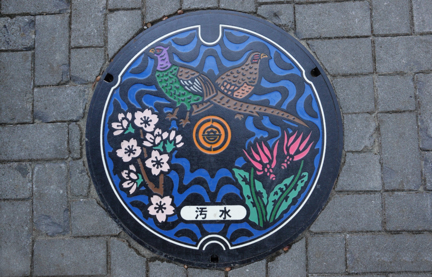 Japanese Manholes: Art Under Your Feet