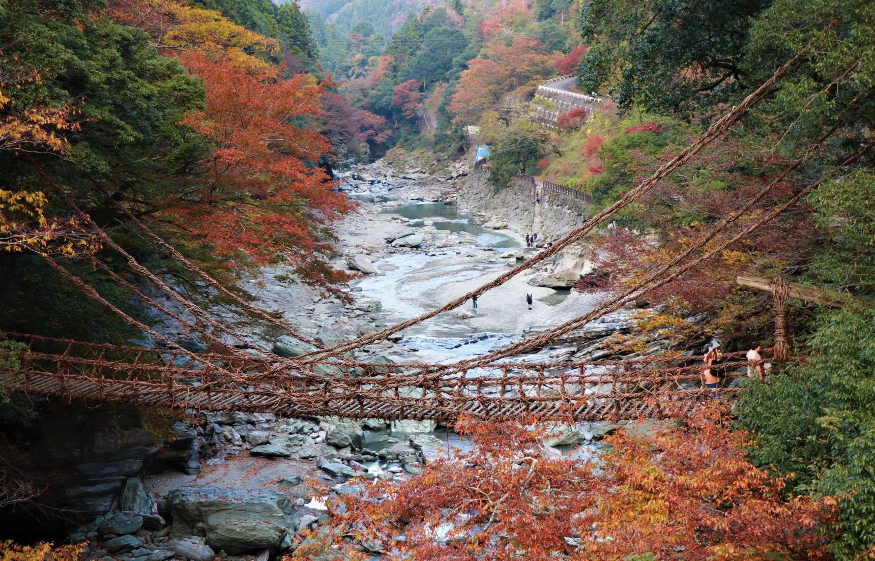 Take a Walk on the Wild Side in Tokushima