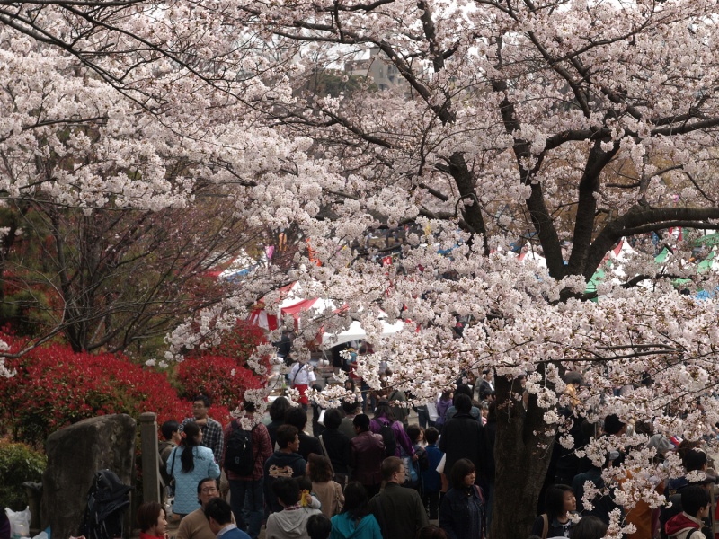 Asukayama Park (Oji)