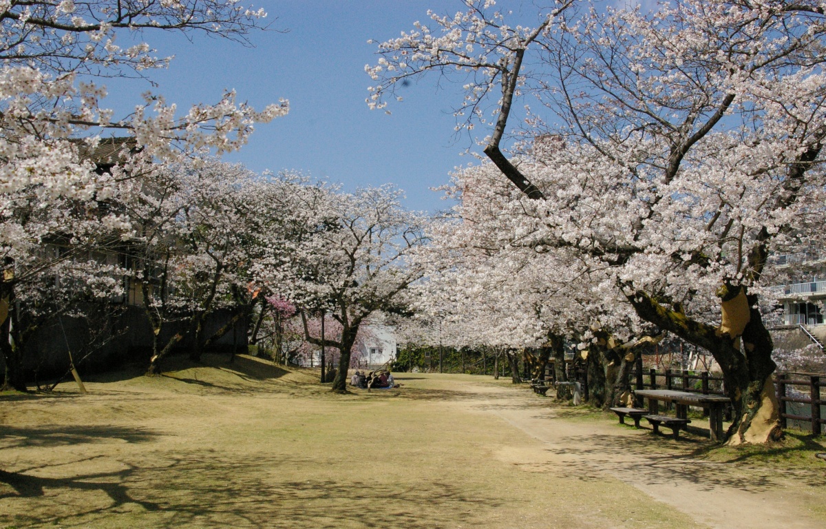 จุดชมวิวที่ 3 สวนสาธารณะออนเซน "ออนเซนโคเอง"