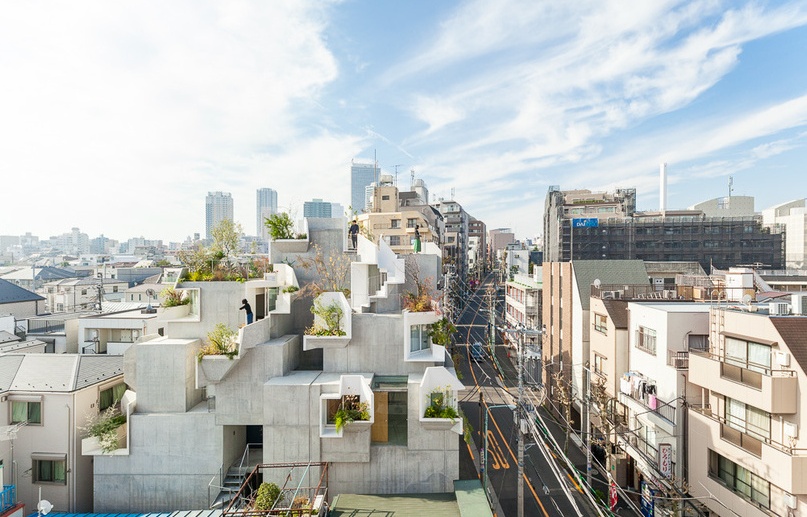 Architect Designs 'Tree House' in Tokyo