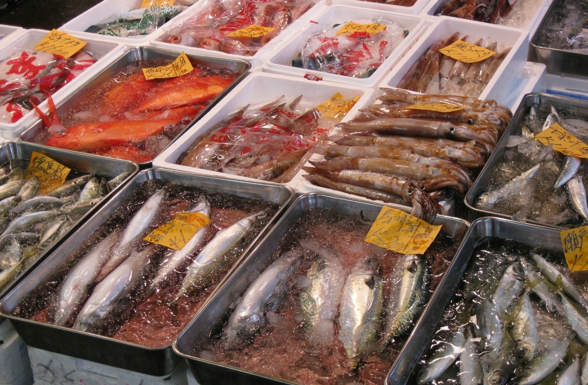 4. ตลาดปลานิโจ (Nijo Fish Market)