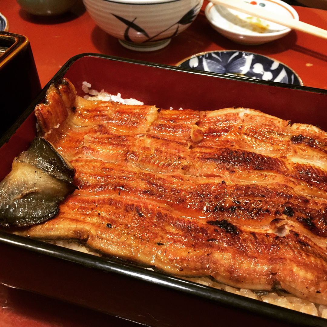 ■超大份量的鰻魚蓋飯「うなぎ割烹 大江戸」