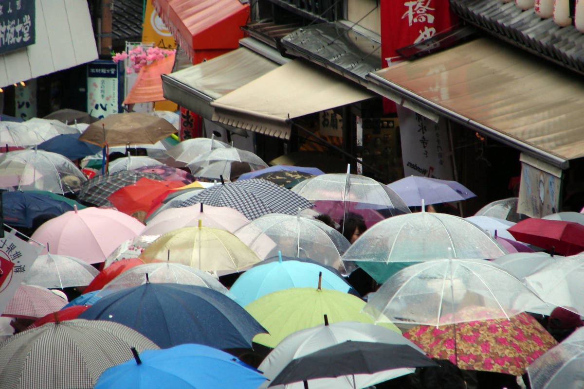 1. Where to Buy an Umbrella