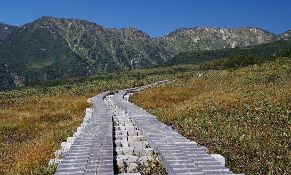 1. เส้นทางมิดากาฮาระ ทาเทยาม่า-คุโรเบะ อัลไพน์ (Midagahara Route, Tateyama-Kurobe Alpine)