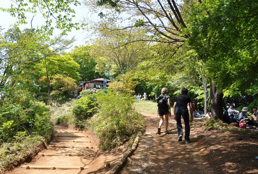 5. เส้นทางหมายเลข 1 ภูเขาทาคาโอะ (No.1 trail, Mount Takao)