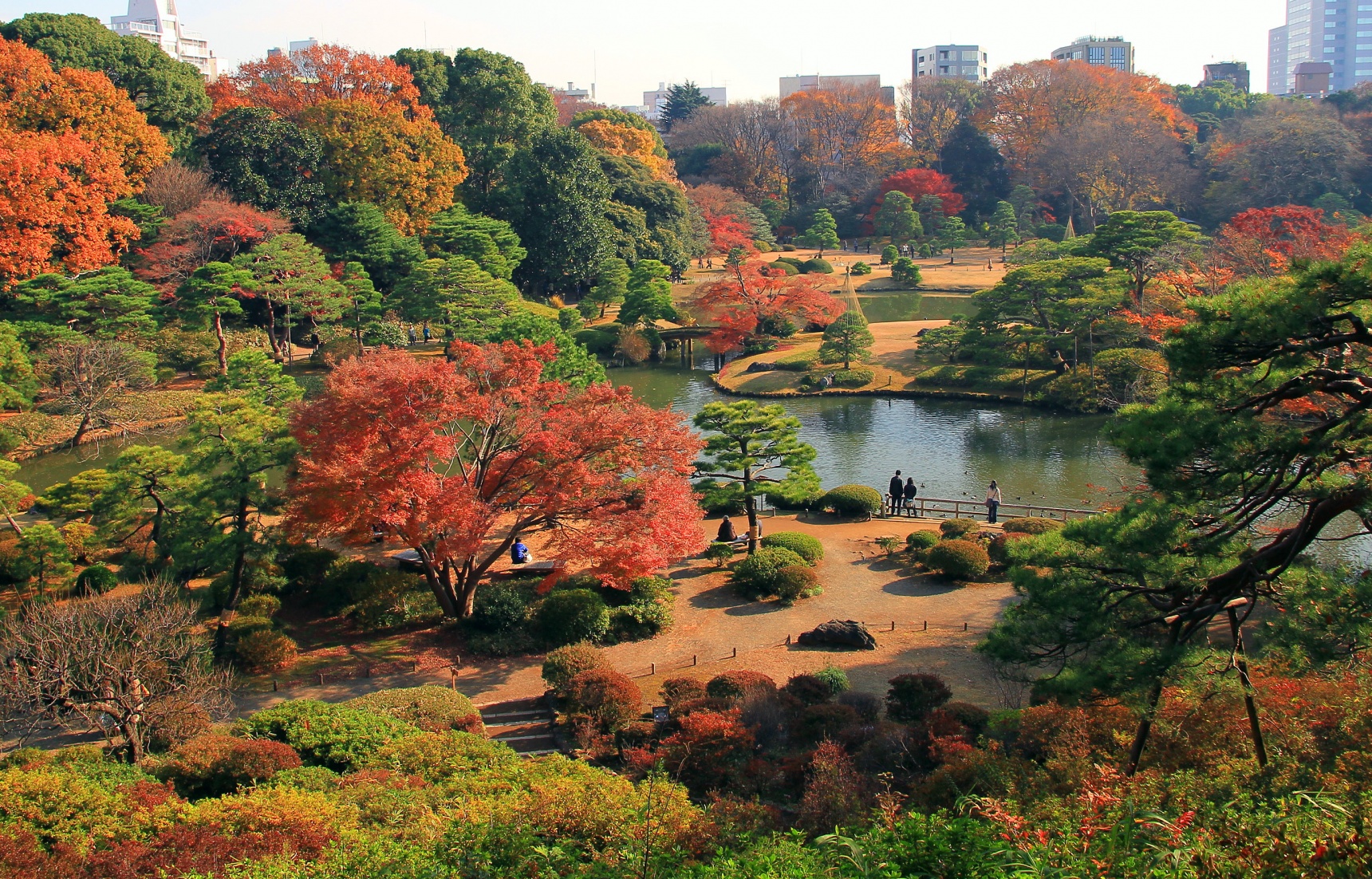 Rikugien Garden: A Paradise Fit for a Daimyo
