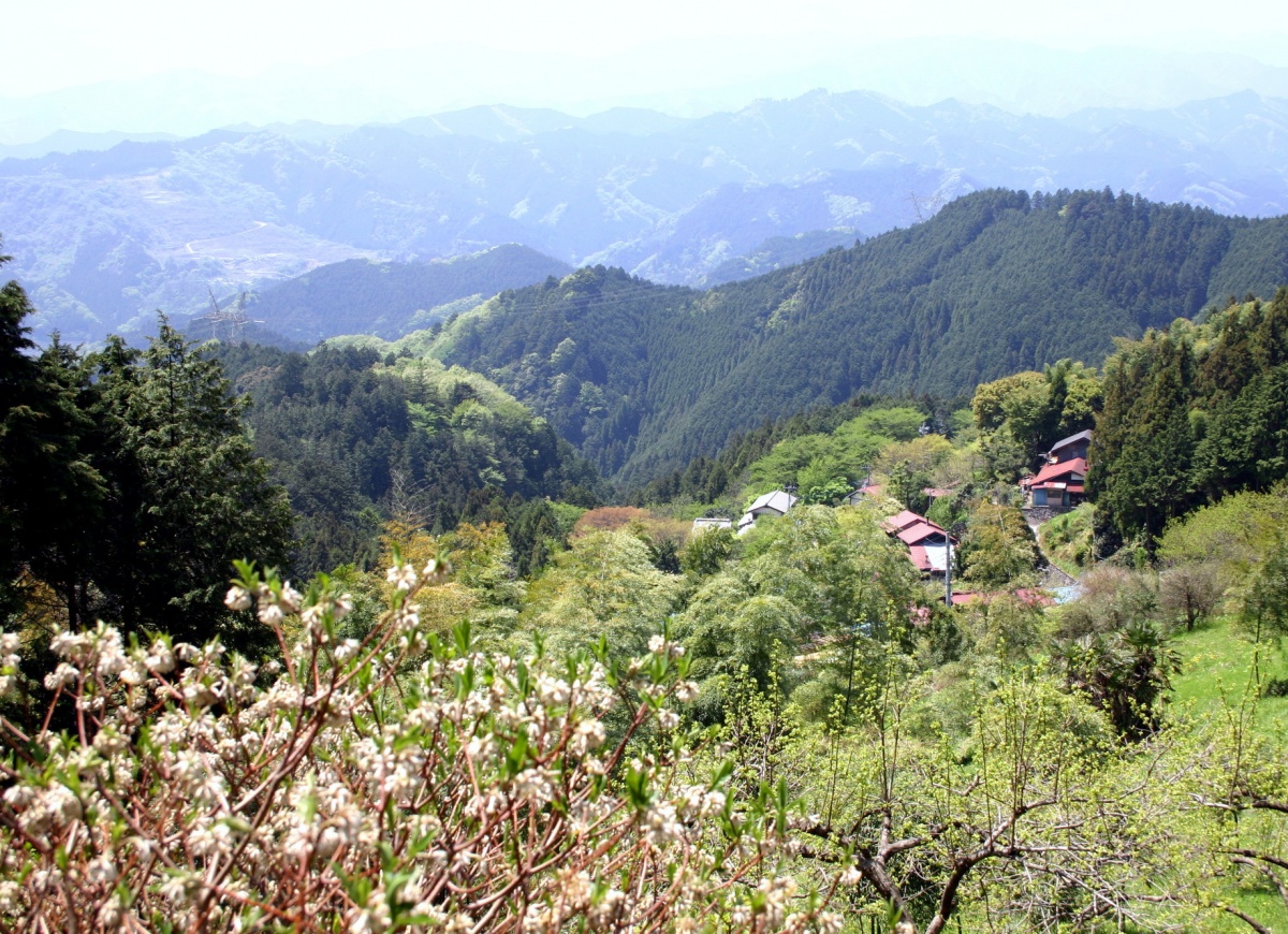 Koburi Pass and Yukade - 70 Minutes from Ikebukuro