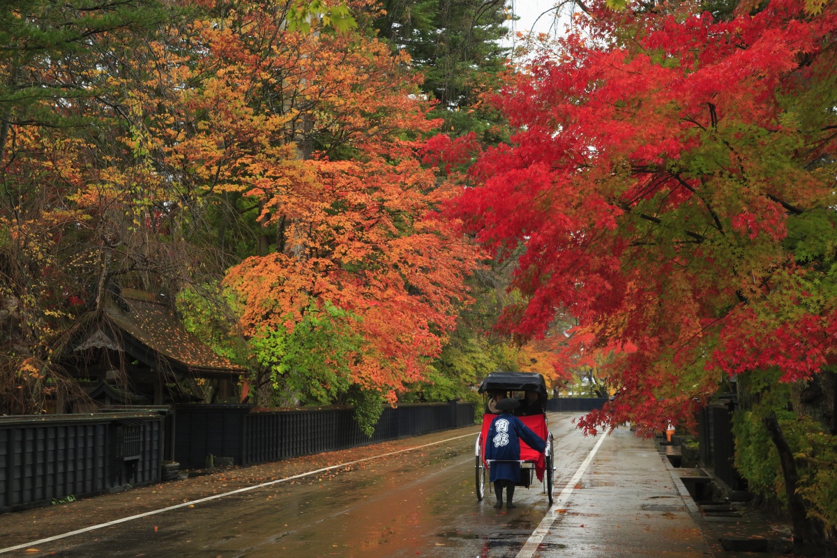 10. หมู่บ้านซามูไรคาคุโนะดาเตะ อาคิตะ (Kakunodate, Akita)