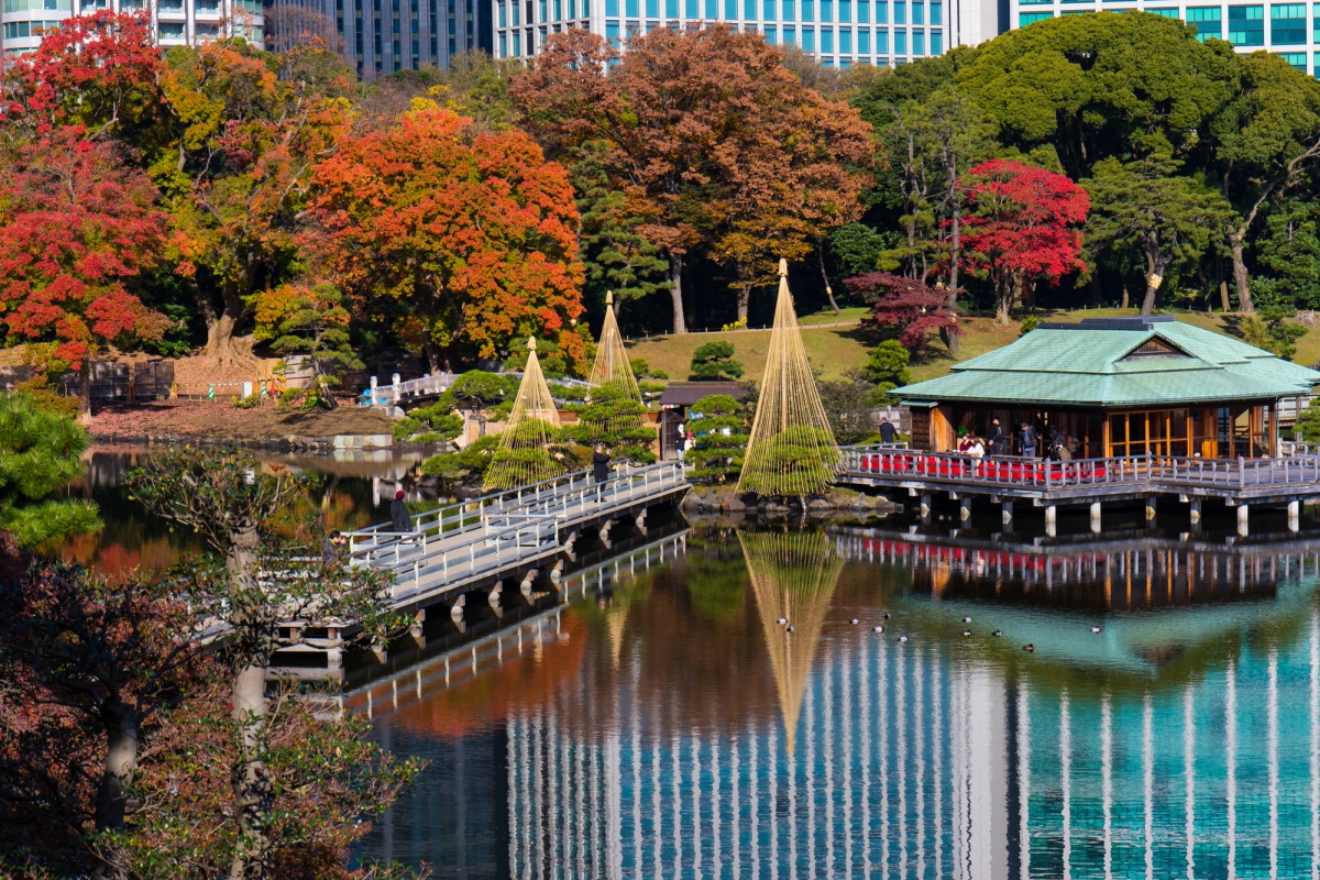 8. สวนคิวชิบะริคิว (Kyu-Shibarikyu Garden) ใบไม้แดงท่ามกลางตึกสูงใหญ่ของโตเกียว