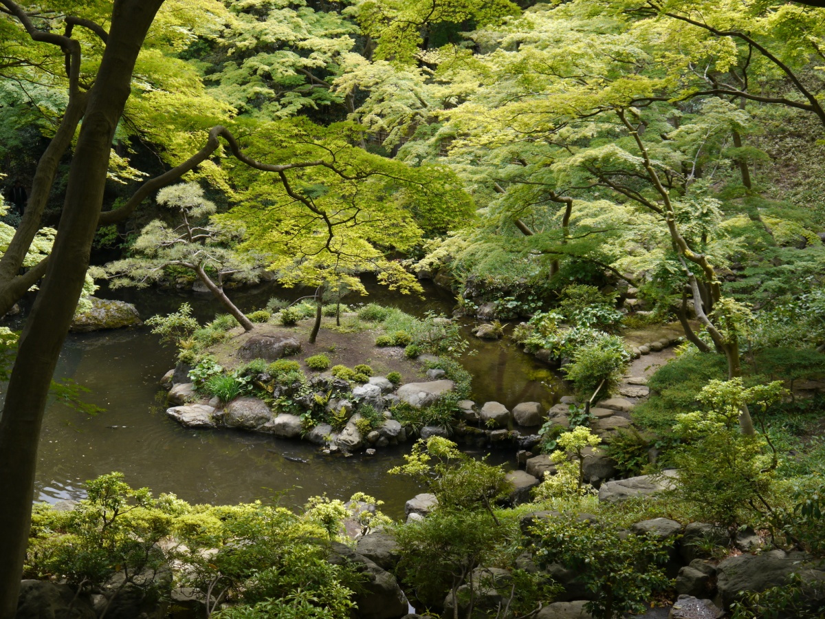 10. สวนโทโนกะยะโตะ (Tonogayato Garden) เขียวชอุ่มบรรยากาศร่มรื่น