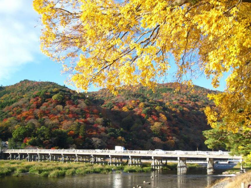 8. Arashiyama - Breathtaking Scenery