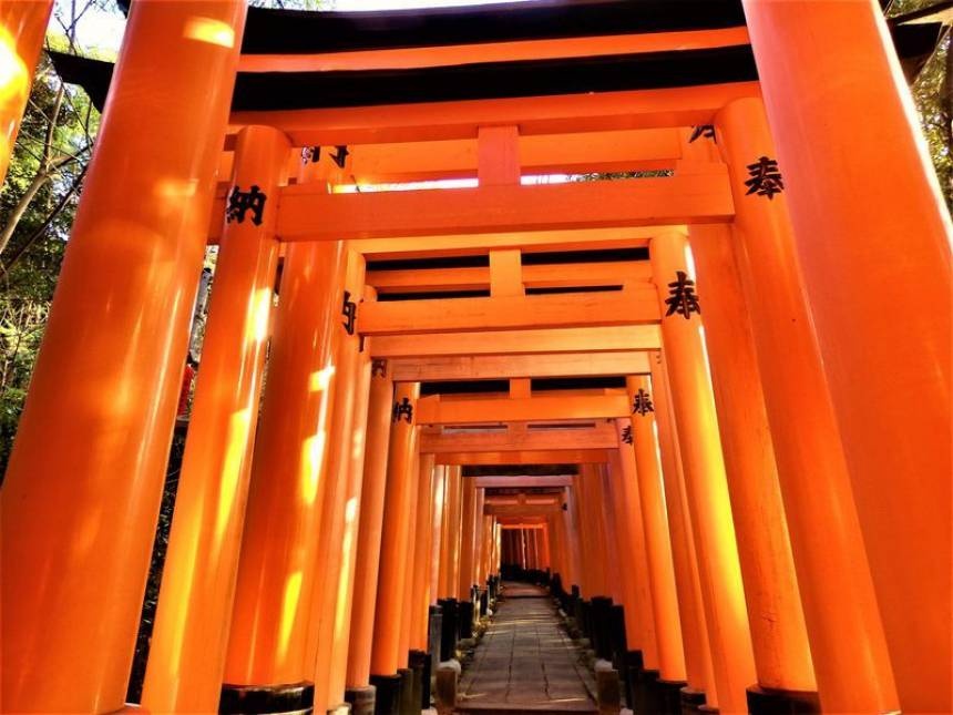 7. Fushimi Inari Taisha