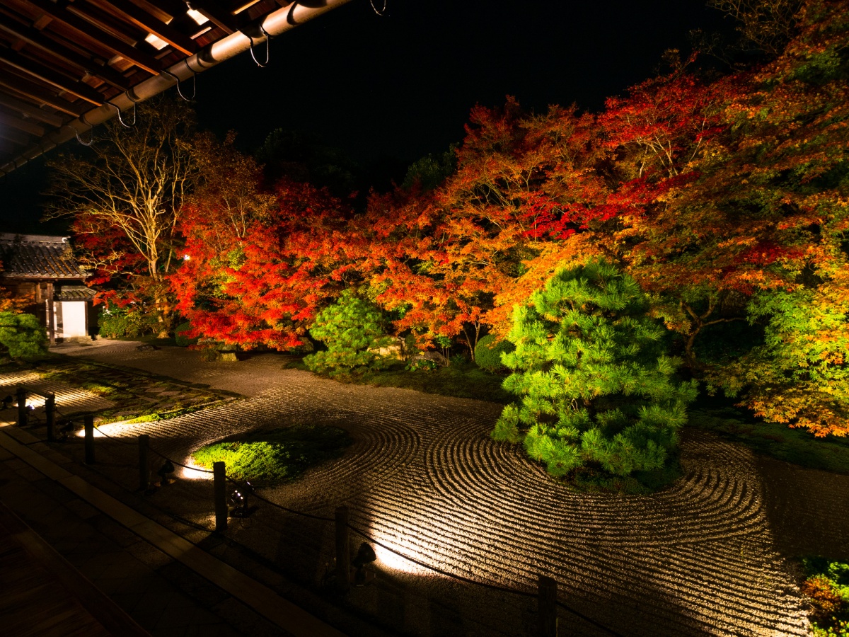 京都紅葉的內斂與靜謐！南禪寺「天授庵」