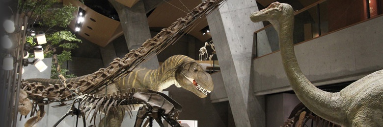 3 Gunma Museum of Natural History (Gunma)