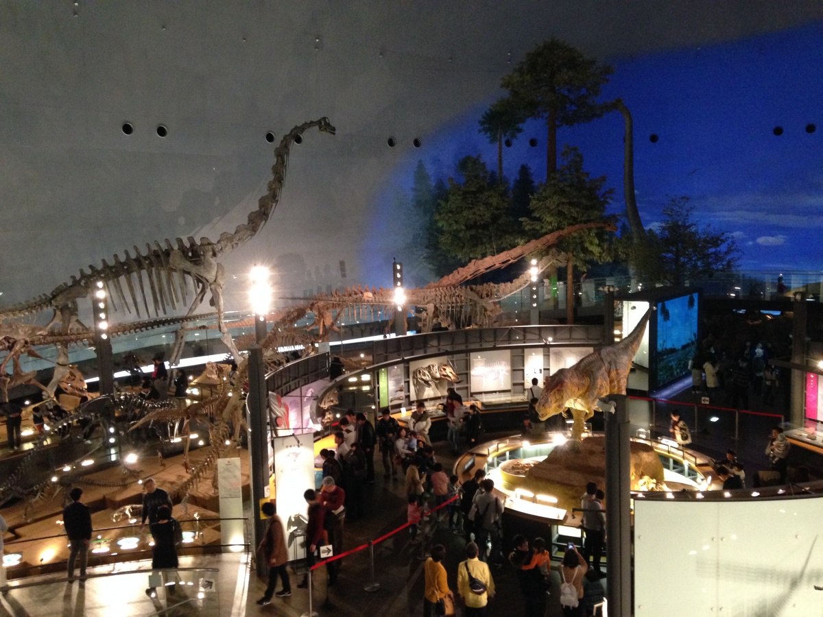 6 Fukui Prefectural Dinosaur Museum (Fukui)
