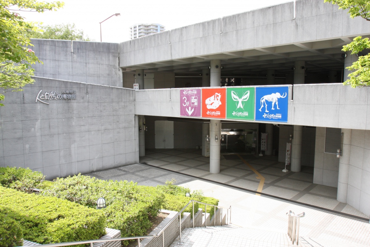 9 Museum of Nature and Human Activities Hyogo (Hyogo)