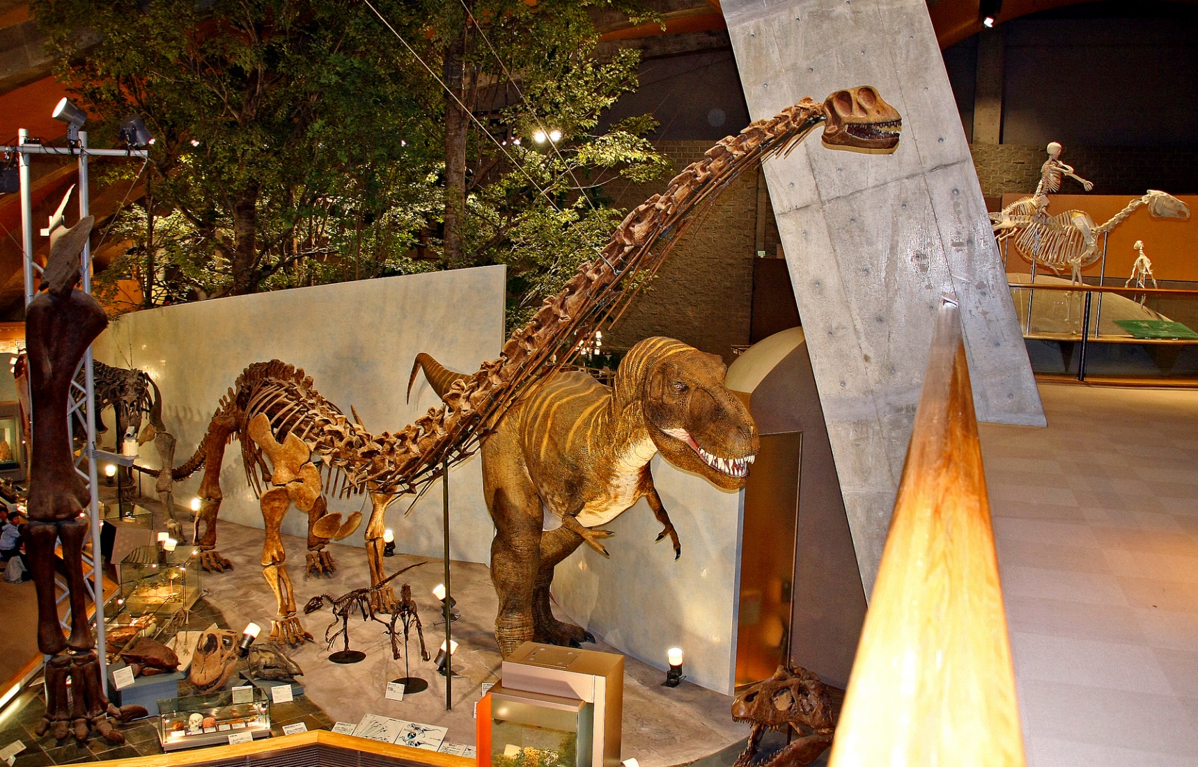 10 พิพิธภัณฑ์ไดโนเสาร์ของญี่ปุ่น