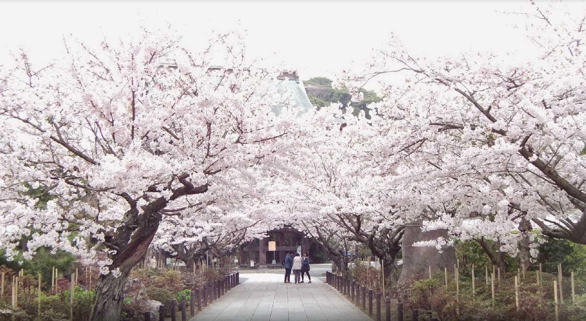 5 เคนโจจิ (Kenchō-ji)