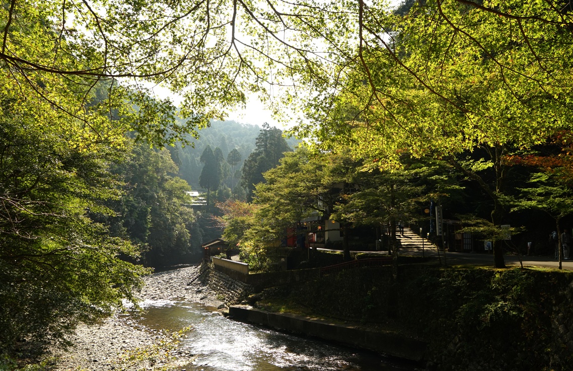 3. ทาคาโอะ (Takao) เมืองแสนสงบในหุบเขา และวัดที่เก็บการ์ตูนมังงะชิ้นแรกของญี่ปุ่น