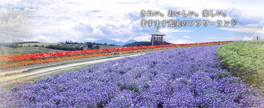 4 Flower Land Kamifurano