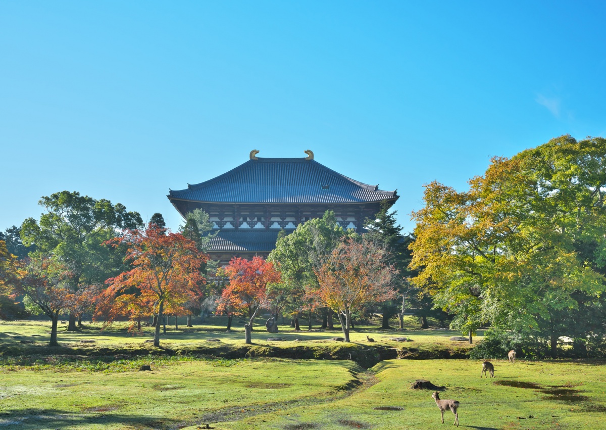 3. นารา (Nara)