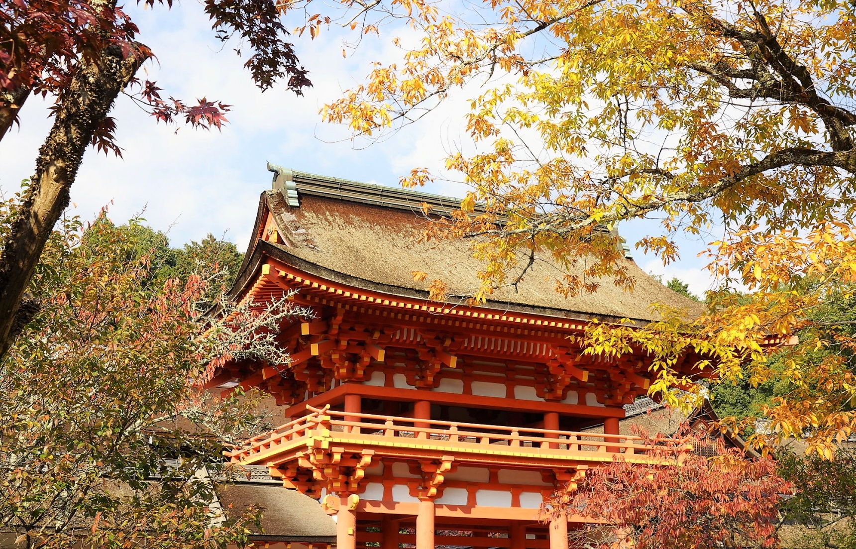 【京都自由行】參拜能量景點「上賀茂神社」再逛市集！追楓者別錯過～秋季御守限定販售中！