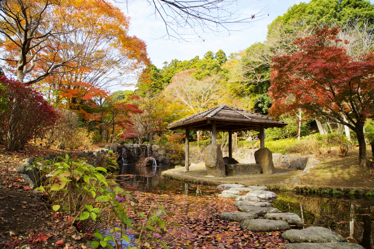 6. สวนไคราคุเอน, อิบารากิ (Kairakuen Garden, ibaraki)