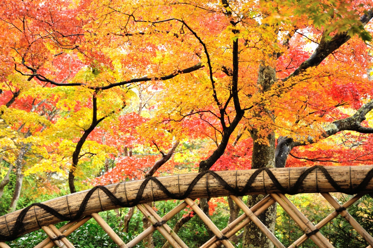 7. พิพิธภัณฑ์ศิลปะฮาโกเนะ, คานากาวา (Hakone Museum of Art, Kanagawa)