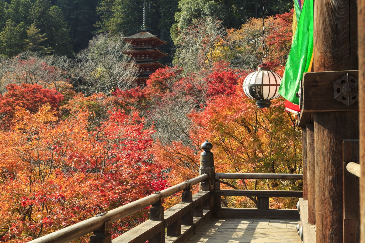 8. วัดฮาเซเดระ คามะคุระ, คานากาวา (Hasedera Temple kamakura, Kanagawa)