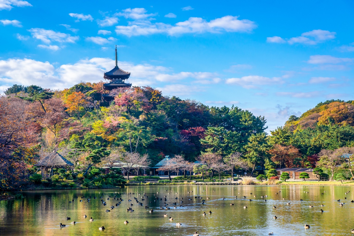 9. สวนสาธารณะซังเคเอ็น โยโกฮามา, คานากาวา (Sankeien Garden Yokohama, Kanagawa)